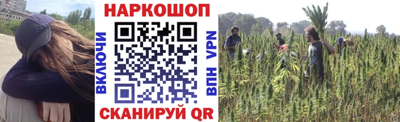 Наркошоп купить Alpha PVP  Мефедрон  Cocaine  Городовиковск