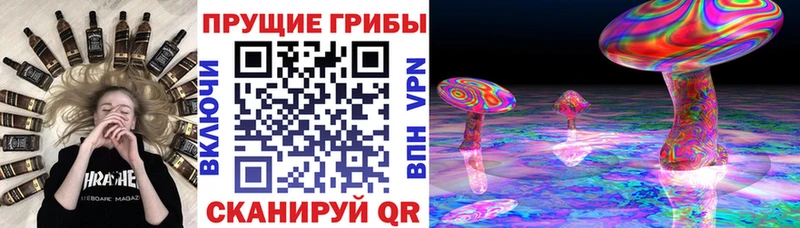Купить  Городовиковск  Псилоцибиновые грибы мицелий 